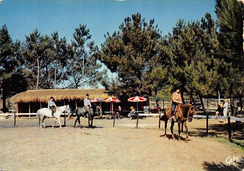 Ile oleron manege de - oleron,