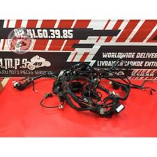 Faisceau électrique