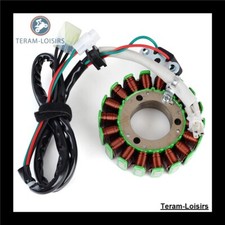 Stator allumage pour - pour, 250