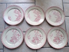 Assiettes anciennes - 6,