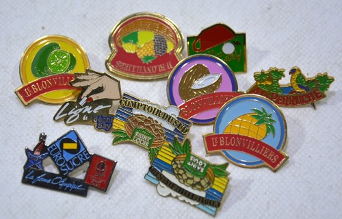 Pin sucre la perruche - pin's,