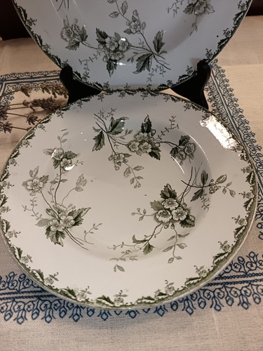 Assiette creuse modèle - creuse,
