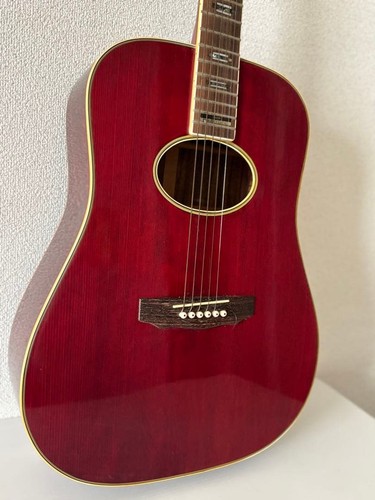 Daion 54e acoustic guitar - daion,