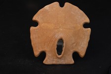 Oursin fossile Encope