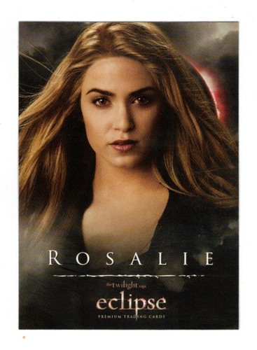 2010 neca twilight saga - twilight,