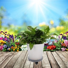  Support À Roulettes Pour Plantes Chariot Jardin Plateau De Pot Fleurs