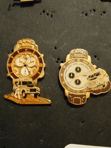 Rare pin camel trophy - pin's,
