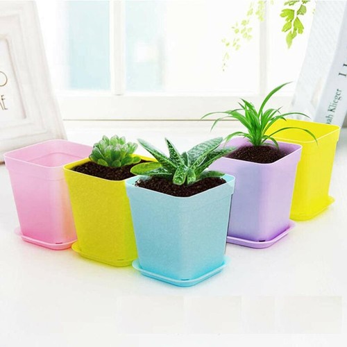 Petits pots de fleurs - 15, x