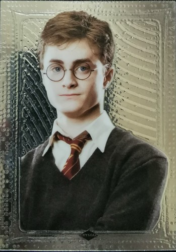 2025 harry potter - harry,