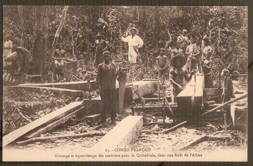Congo français cpa abattage - congo,