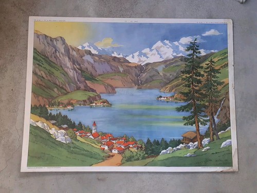 Affiche scolaire rossignol - scolaire,