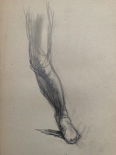 Crayon portrait anatomie - portrait, jambe