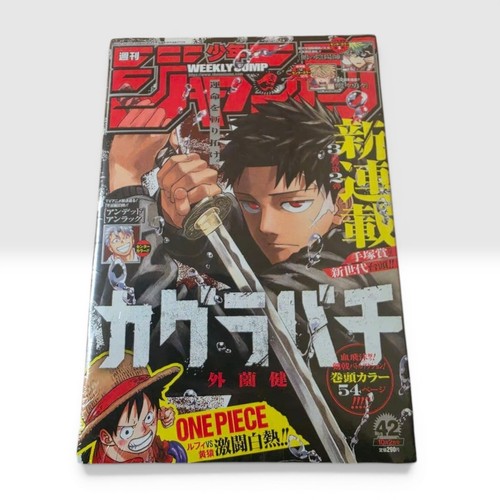 Magazine manga japonais