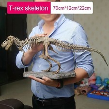 Animal Model T Rex