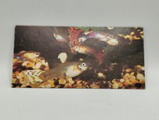Nestlé MERVEILLES DU MONDE Carte N°384 "le guppy"