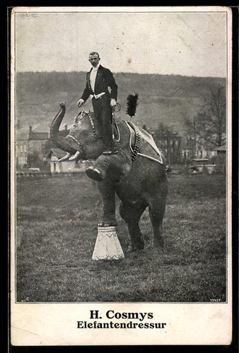Carte postale cosmys - carte,