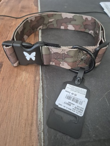 Collier pour chien - pour,