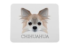 Chihuahua à poil long