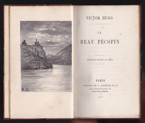 Hugo beau pécopin - beau,