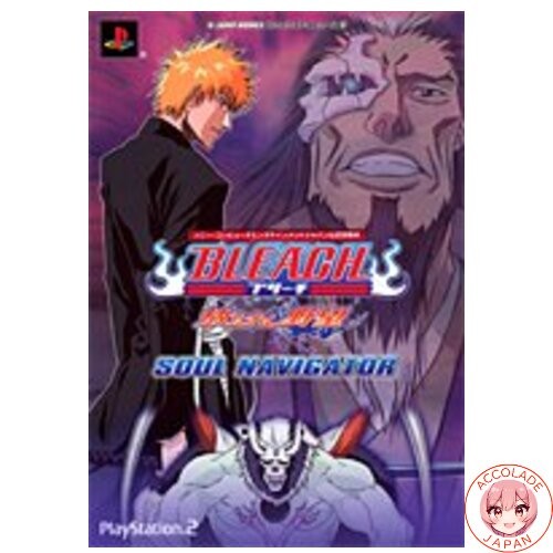 Bleach unleashed ambition - :,