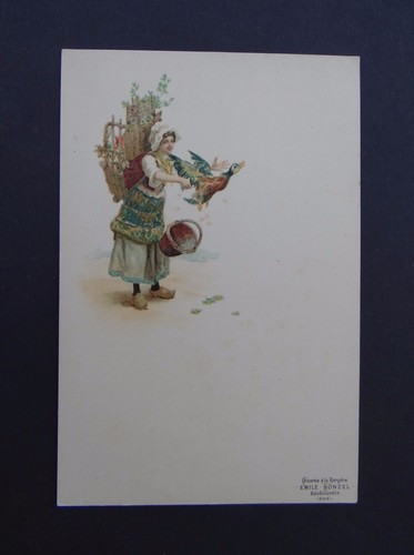 Carte table menu chicoree - carte,