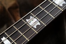 Basse électrique Spector Euro