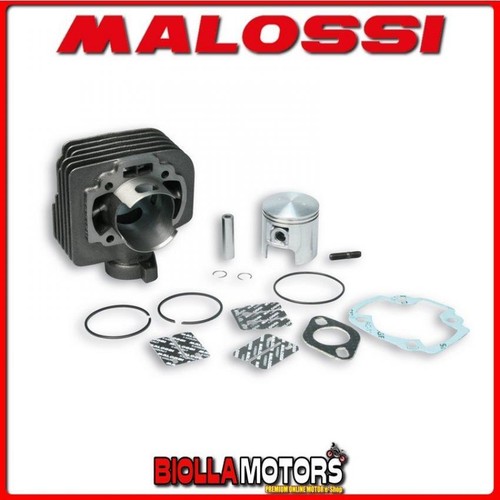 317137 cylindre kit - cylindre, malossi