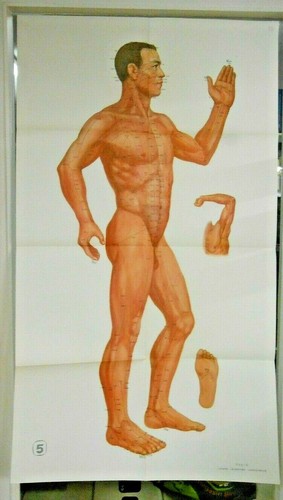 Planches des points - 7,