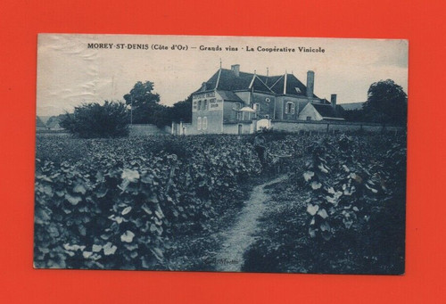 Morey saint denis la - morey,