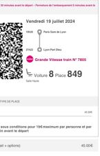 billet de train Paris/lyon 19/07