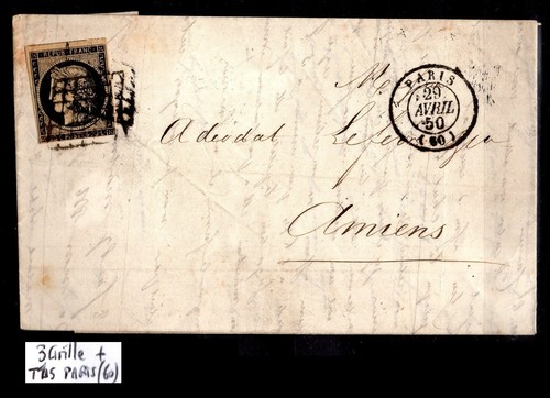 Variété ceres chamois - variété, n°3b