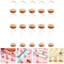  Mini dôme d'exposition de fleurs éternelles, 15 pièces, Cloche en verre