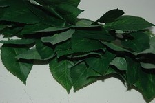 Terrarium Vivarium Petit Ficus Soie Suspendu Vigne 35 CM Komodo Reptile Plante