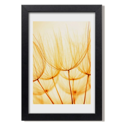 Tulup photo 20x30cm décor - tulup,