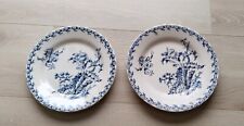 Lot de 2 assiettes Plates