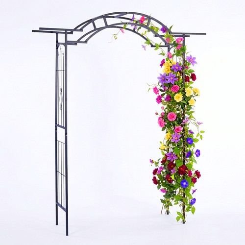 Arche roses de - roses,,