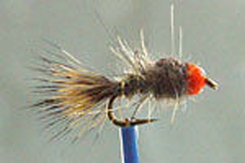 Mouche nymphe lievre bille - x,