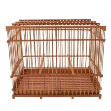  Cage Perroquet Petite Oiseau