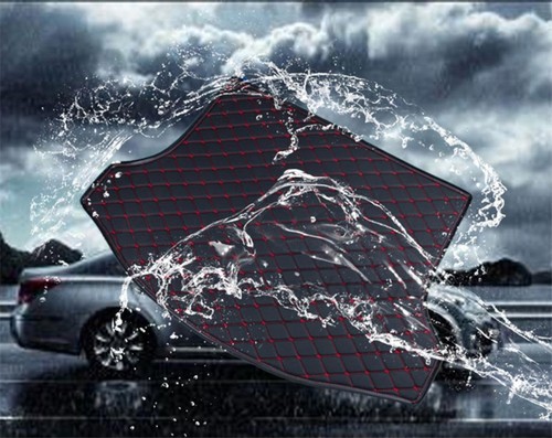 Protection coffre tapis de - de,