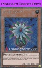 Yu-Gi-Oh! Bulbe Luisant : PN RA03-FR245