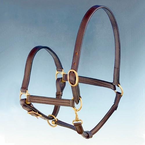 Cavezze pour cheval cuir - pour, en
