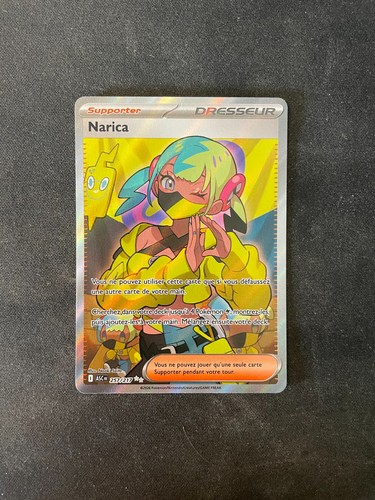 Dresseur narica héros - -,