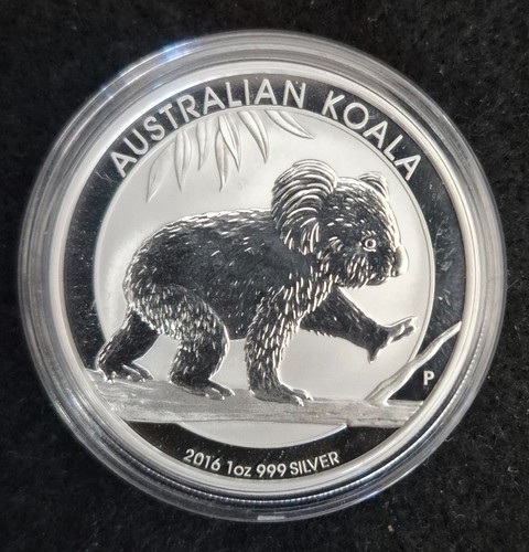 2016 australia koala oz - koala, 1