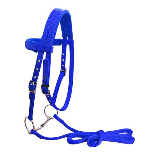 Cheval bride rein harnais - cheval,