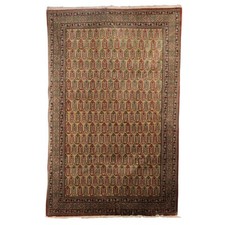 Tapis Shirvan Ancien Laine