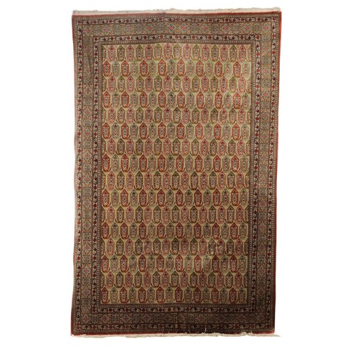 Tapis shirvan ancien - tapis,
