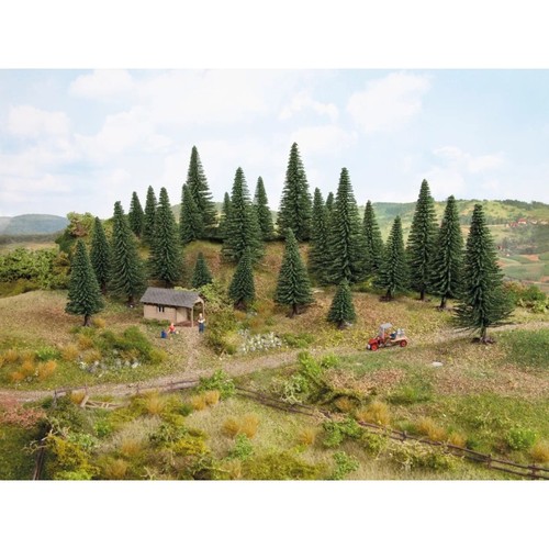 Sapins noch 32820 - sapins,