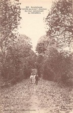 Guadeloupe - TERRE DE HAUT (Saintes) Sentier conduisant au cimetière - Ed. Boise