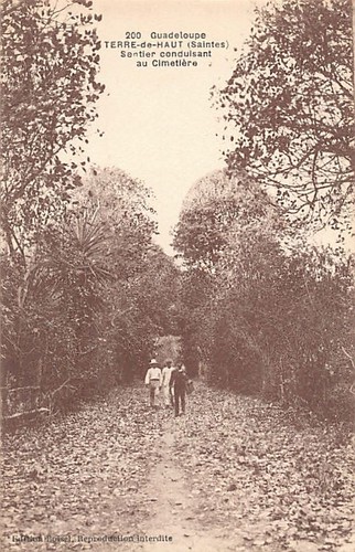 Guadeloupe terre de haut - guadeloupe,