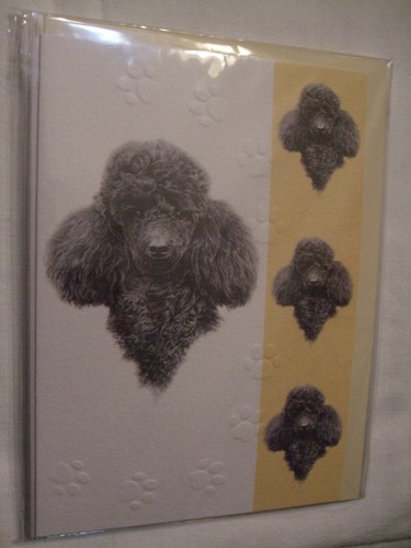 Carte enveloppe chien - carte,